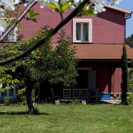 Agriturismo Campoletizia Miglianico Экстерьер фото