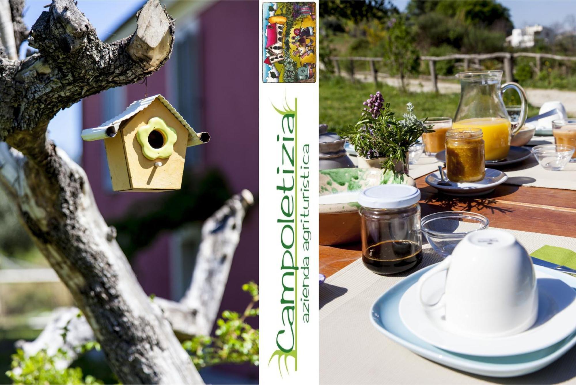 Agriturismo Campoletizia Miglianico Экстерьер фото