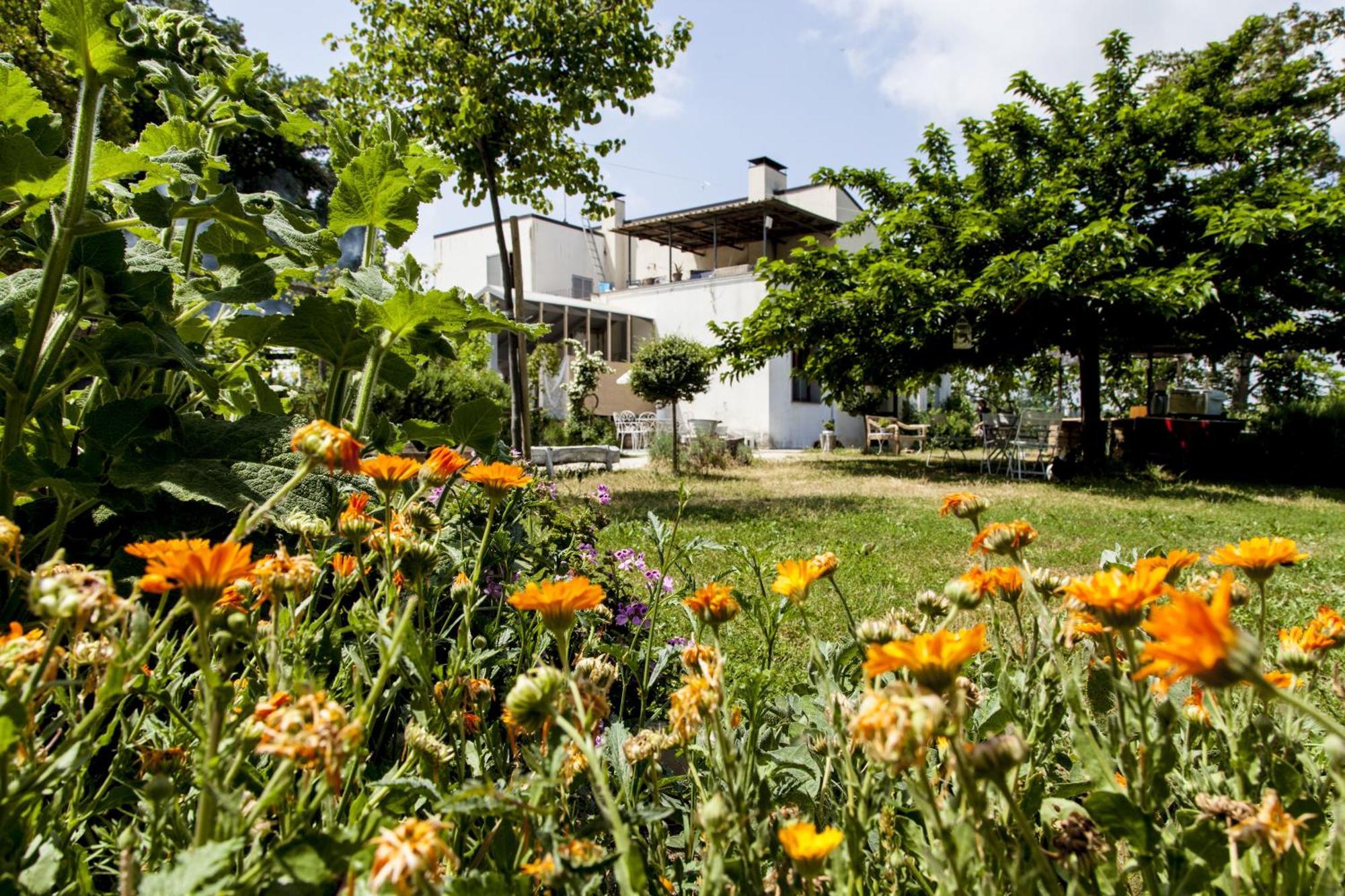 Agriturismo Campoletizia Miglianico Экстерьер фото