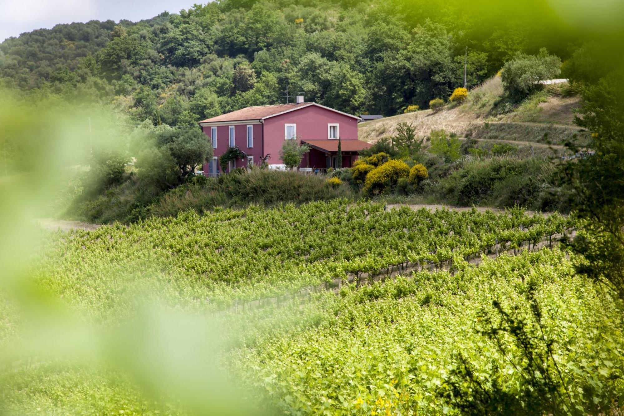 Agriturismo Campoletizia Miglianico Экстерьер фото